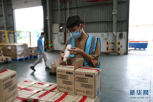 開(kāi)放不息，海淘不止 疫情防控常態(tài)化下的廣州對(duì)外開(kāi)放與海淘物流之路